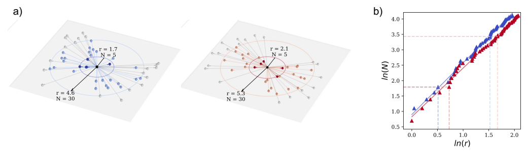 Weighted box-growing examples and neuron-count scaling relationships